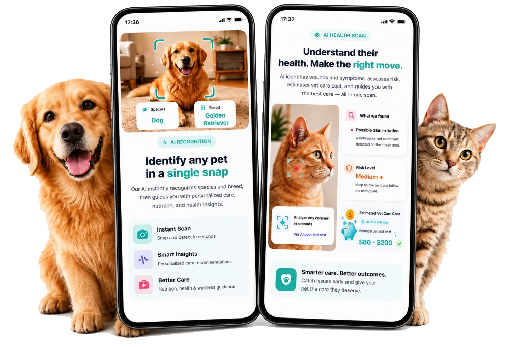 Pawtify AI pet recognition and health scan on iPhone